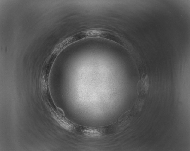 X0000085830381200703161330