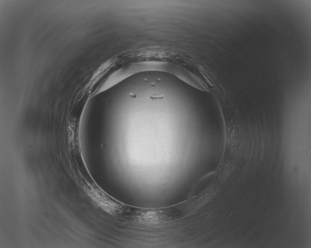 X0000085830382200703161330