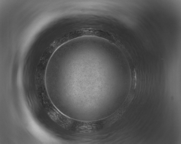 X0000085830383200703161330