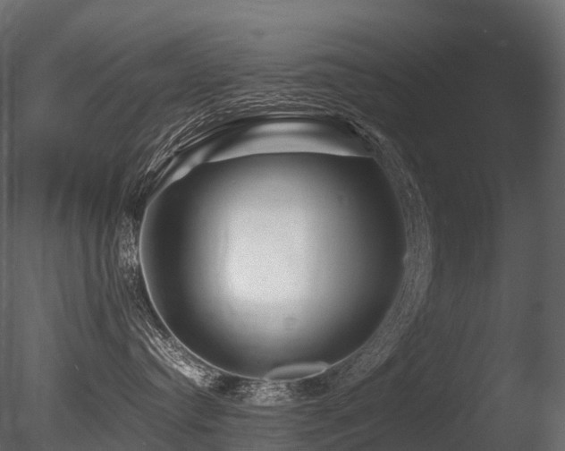X0000085830384200703161330