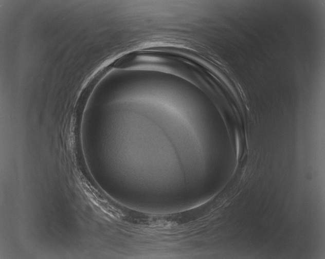 X0000085830387200703161329