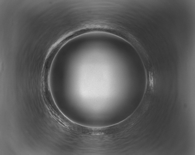 X0000085830388200703161329