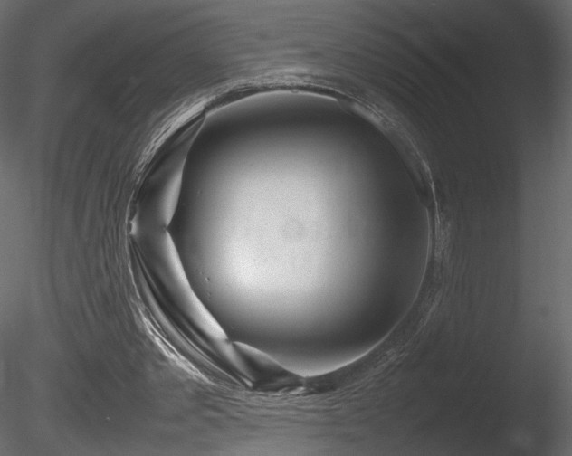 X0000085830389200703161329