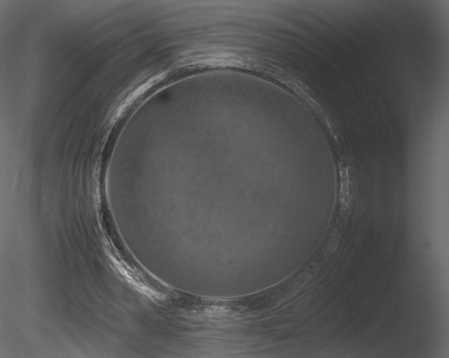 X0000085830390200703161329