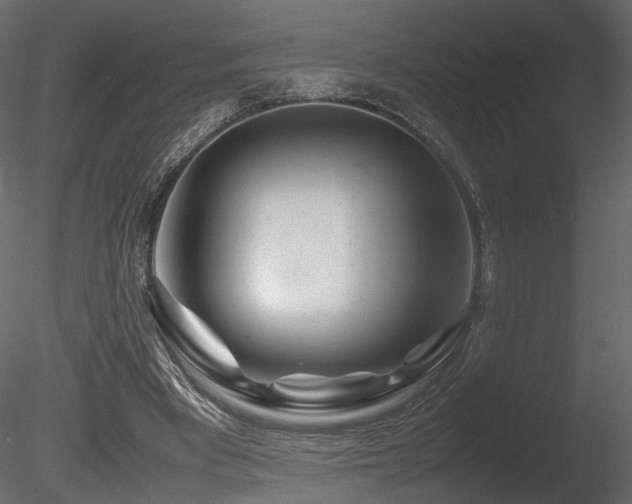 X0000085830393200703161329