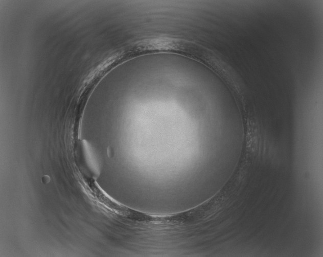 X0000085830394200703161329
