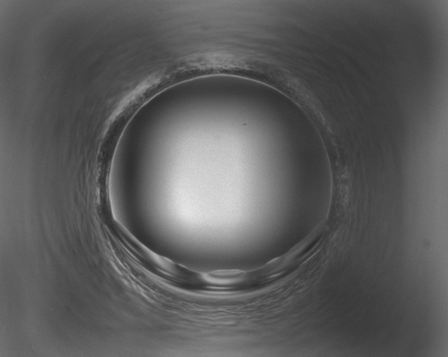 X0000085830395200703161329