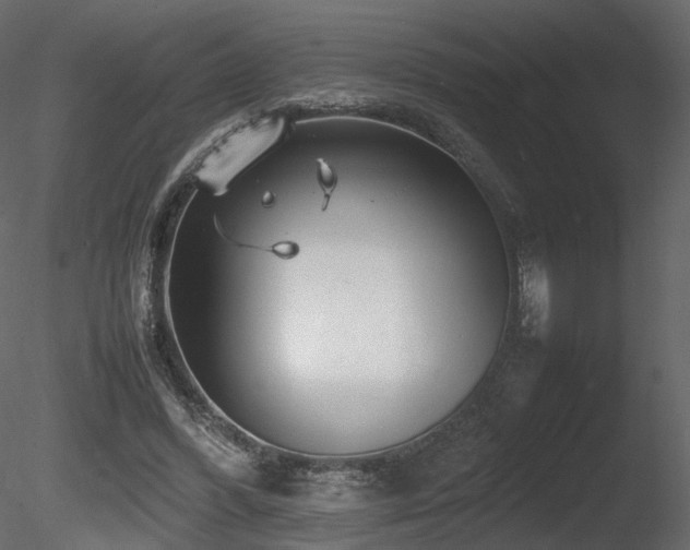 X0000085830396200703161329