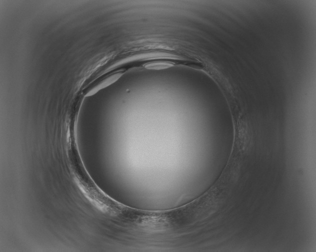 X0000085830398200703161329