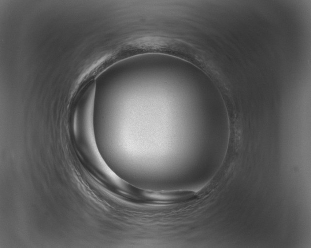 X0000085830399200703161329