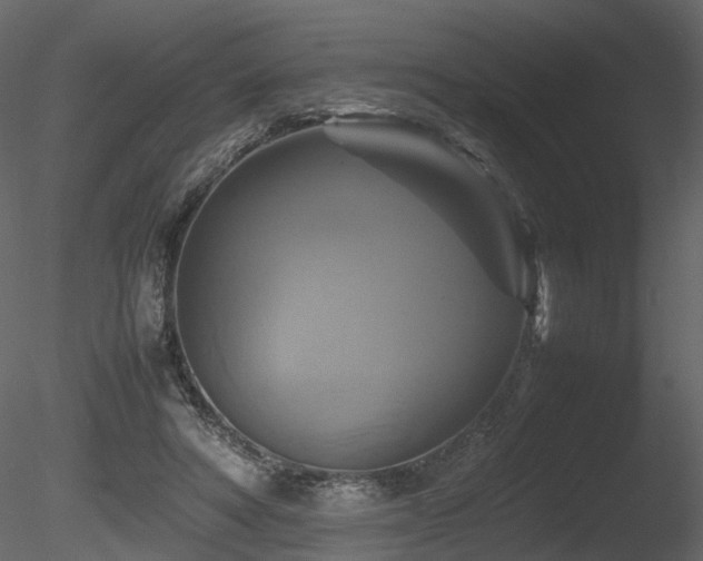 X0000085830402200703161329