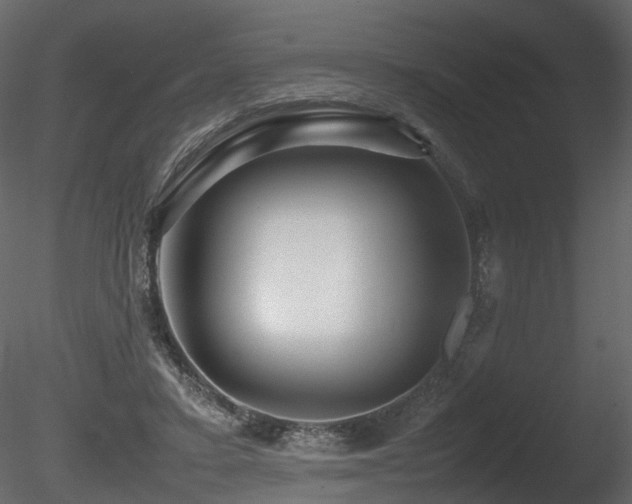 X0000085830403200703161329