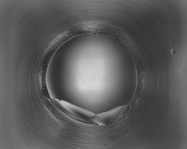 X0000085830404200703161329