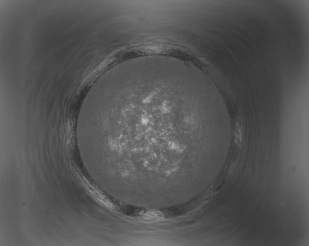 X0000085830409200703161329