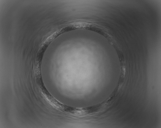 X0000085830411200703161329