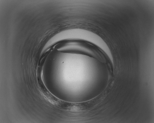 X0000085830412200703161329