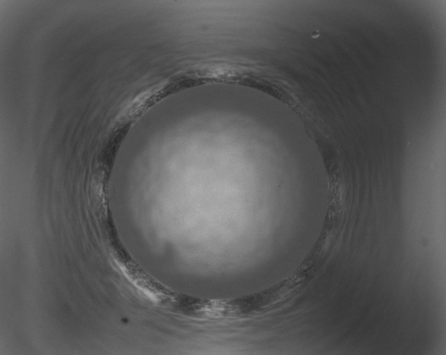 X0000085830415200703161329