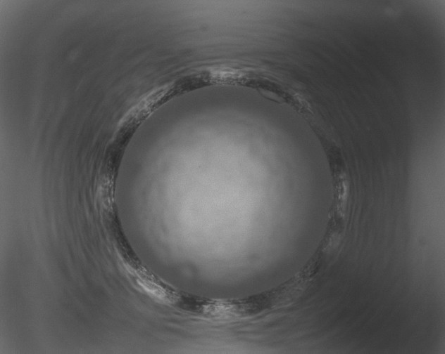 X0000085830419200703161329