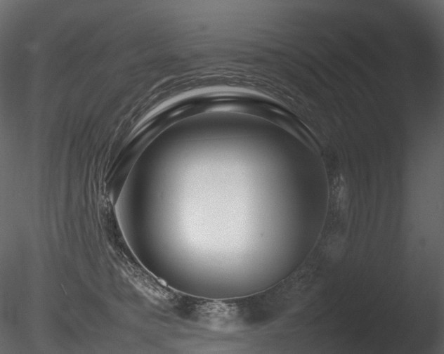 X0000085830421200703161329