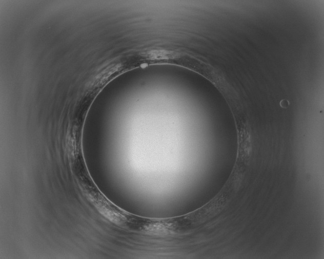 X0000085830422200703161329