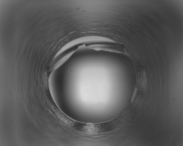X0000085830425200703161329