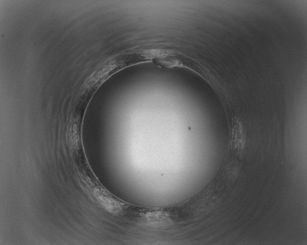 X0000085830426200703161329