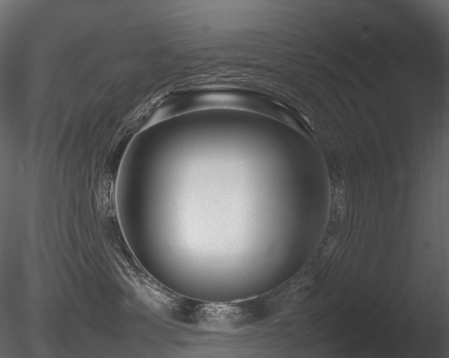 X0000085830429200703161329