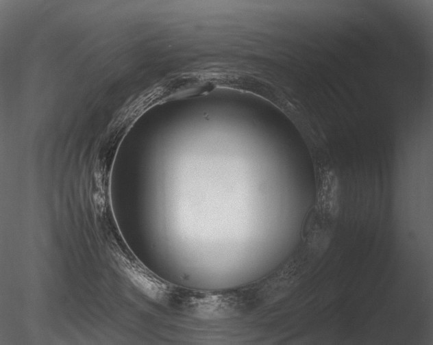 X0000085830430200703161329