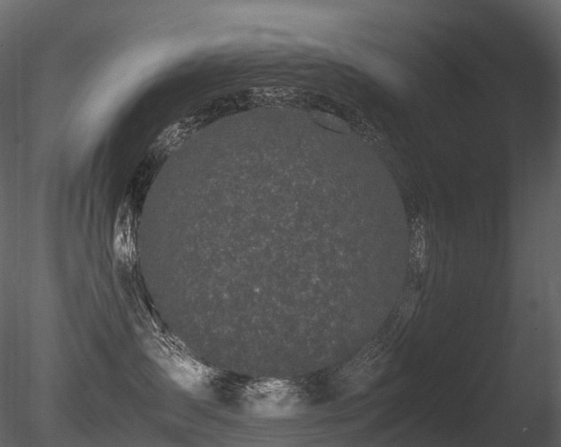 X0000085830431200703161329