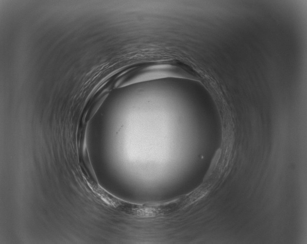 X0000085830432200703161329