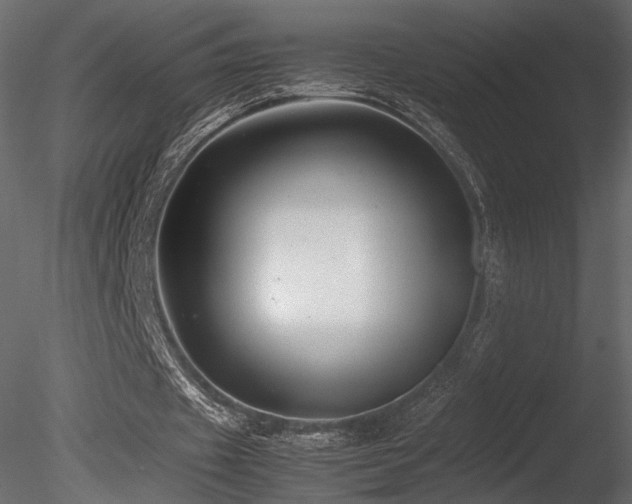 X0000085830433200703161328