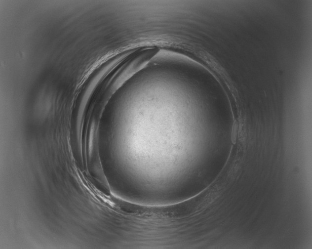 X0000085830434200703161328