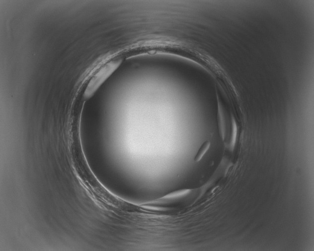 X0000085830436200703161328