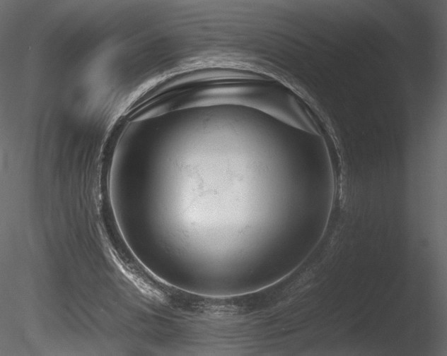 X0000085830438200703161328