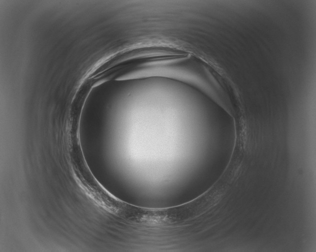 X0000085830440200703161328