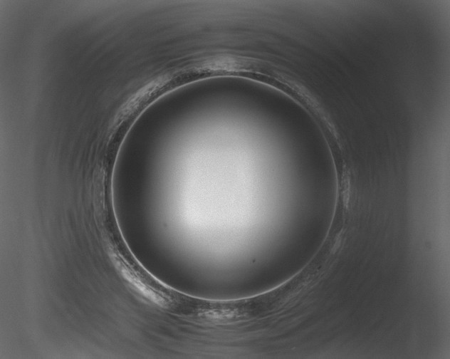 X0000085830445200703161328