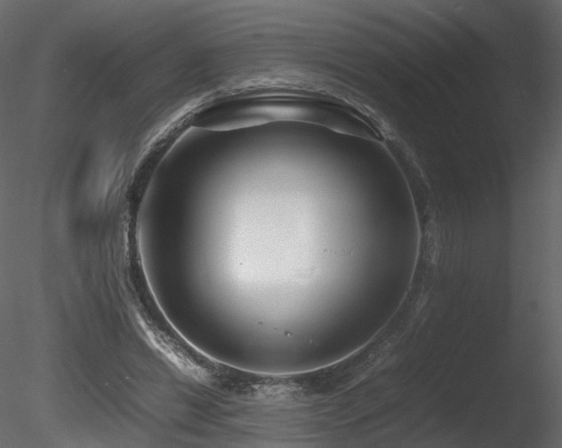 X0000085830446200703161328