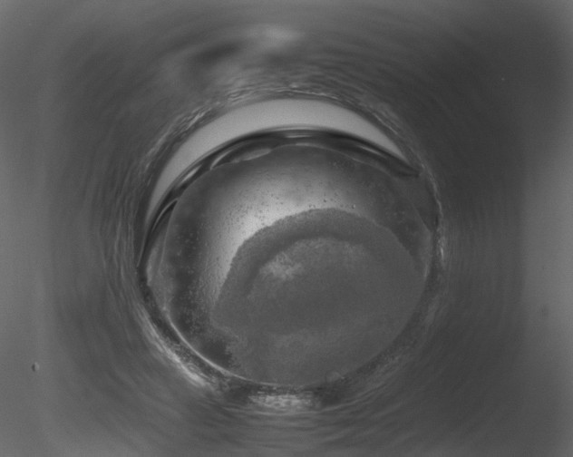 X0000085830449200703161328