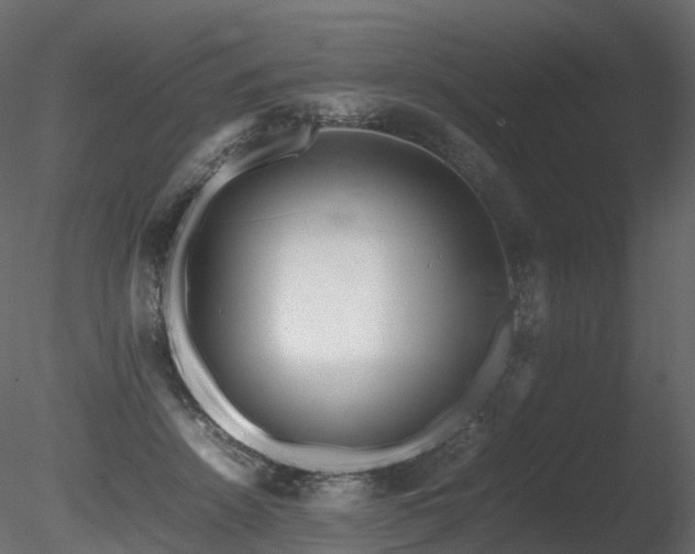 X0000085830456200703161328