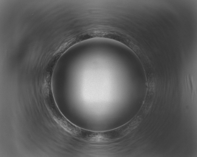 X0000085830460200703161328