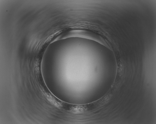 X0000085830466200703161328