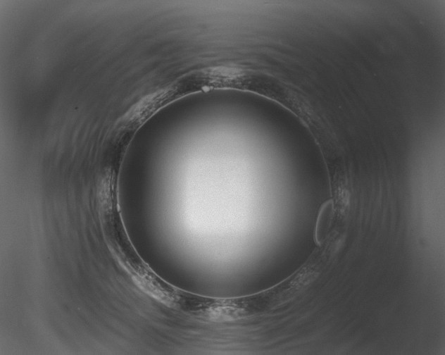 X0000085830468200703161328