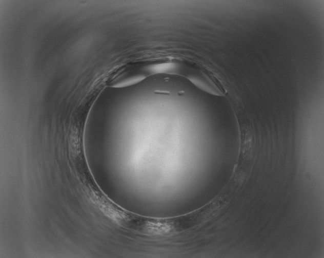 X0000085830469200703161328