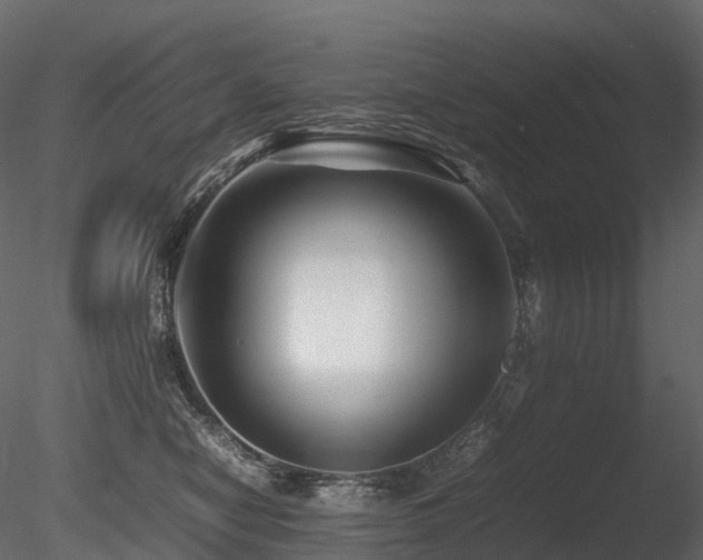 X0000085830470200703161328