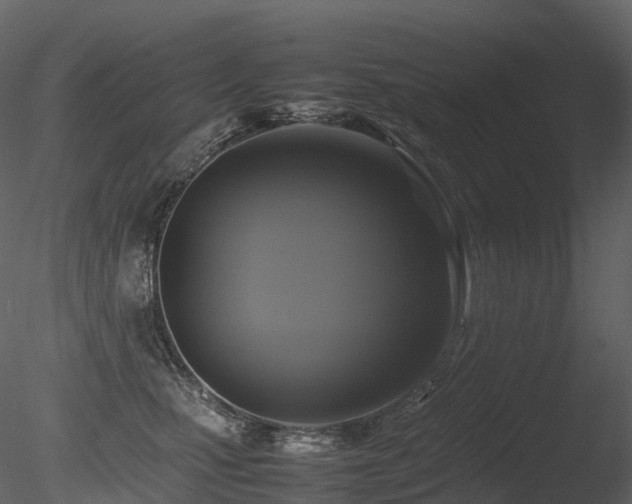 X0000085830471200703161328