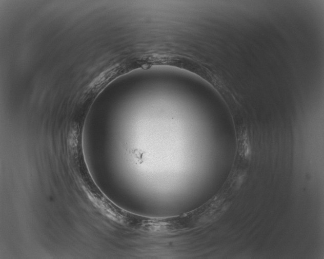 X0000085830472200703161329