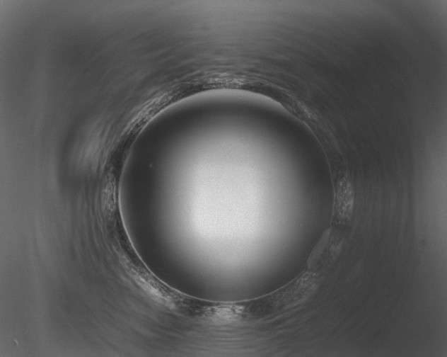 X0000085830474200703161329