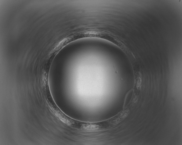X0000085830476200703161329