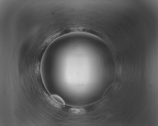 X0000085830477200703161329