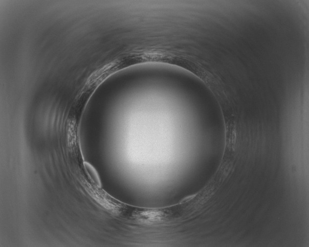 X0000085830478200703161329